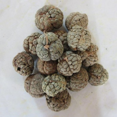 草寇有点苦味，选大一点的，无虫蛀即可