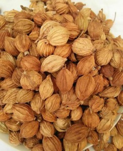 砂仁香砂仁果实完整点好一些