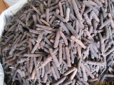 荜拔没什么选的，好买