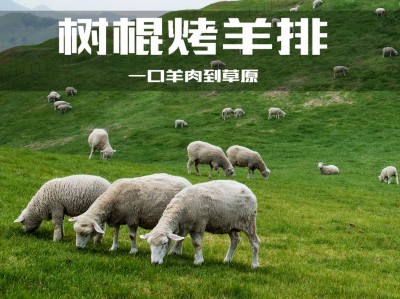 《树棍烧烤》灯箱