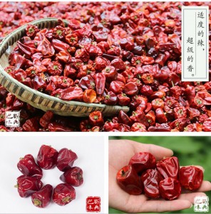 灯笼辣椒：辣度一般 特别香的是灯笼辣椒