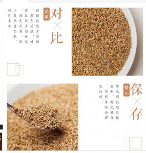 新疆孜然身形短，颜色绿，甘肃孜然长一些，颜色稍微发黄，进口孜然更长一些，颜色土黄